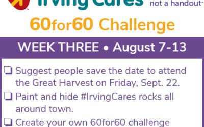 Have More Fun – Week 3 of the 60For60 Challenge!